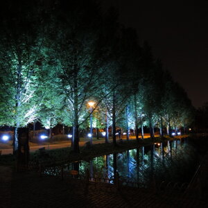 [DSC-WX1] 005.jpg